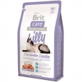 Lilly Sensitive Digestion 400g Cat - BRIT hrana uscata brit