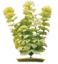 Plante acvariu Hagen Marina Ambulia 30 cm decoruri si plante artificiale  hagen